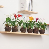 Plantes artificielles avec pots, plante artificielle en pot personnalisable, plantes artificielles réalistes pour la décoration intérieure de la maison, du bureau et de l'hôtel
