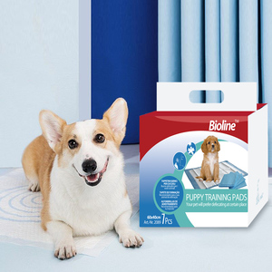 Super Saugfähige Einweg-Welpen-Trainingsunterlagen Auslaufsichere Haustier-Toilettenunterlage für Innen- und Außenbereich Hundetoilettenbedarf - Product Image 1