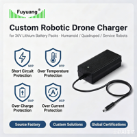 Cargador de Batería de Iones de Litio Fuyuan 16.8V 2A 4S con Conector DC 5.5x2.1mm para Herramientas Eléctricas