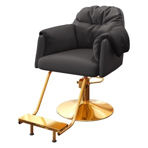<span class=keywords><strong>Chaise</strong></span> de salon de coiffure haut de gamme, spécifique au salon de beauté, en acier inoxydable - Product Image 5