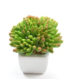Lusiaflower Factory high sales plant artificial succulent plant garden and home decoration