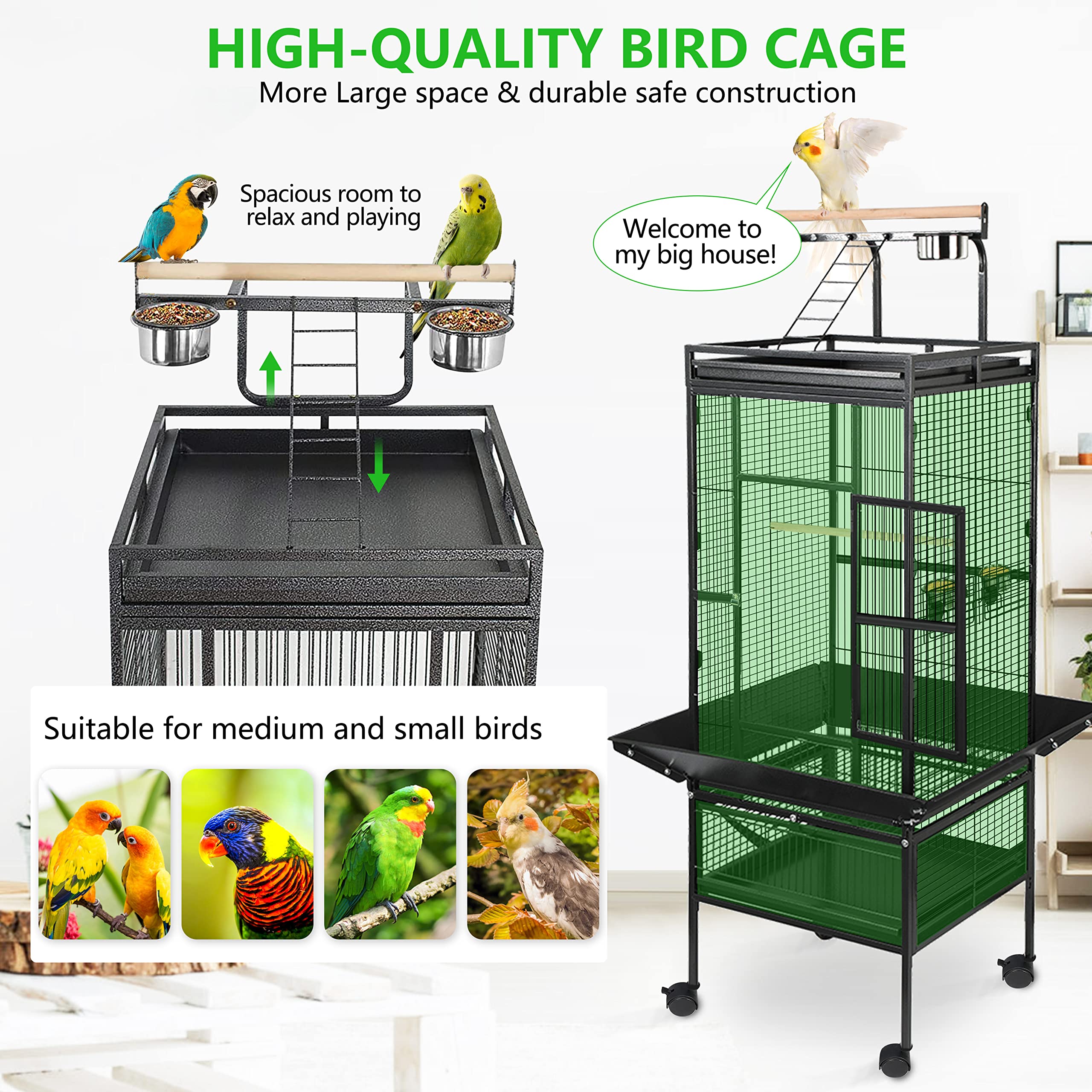 parrot cage with ladder