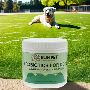 Suppléments nutritionnels probiotiques pour animaux de compagnie avec probiotiques et enzymes pour soutenir la digestion dans les produits à mâcher mous OEM/ODM pour chiens - Product Image 4