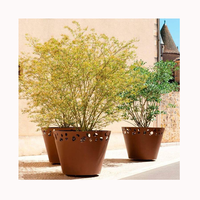 Grandes jardinières en acier corten personnalisées jardinière rectangulaire Pot de fleur