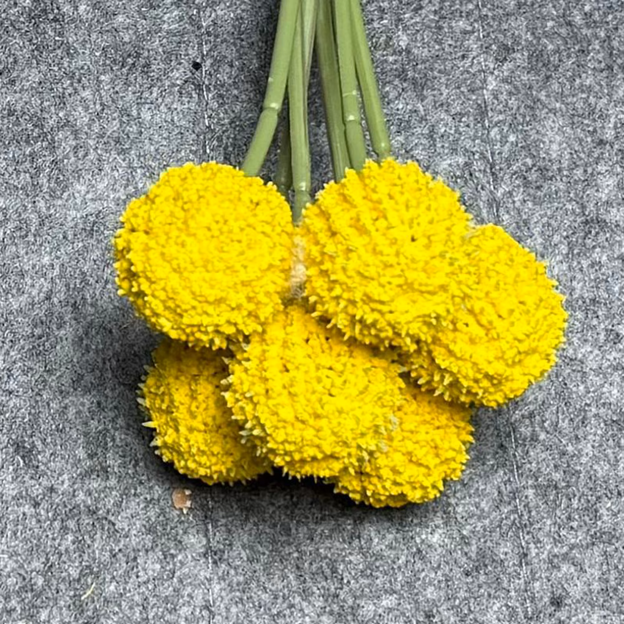 7 Stems 7 Heads 62cm Yellow