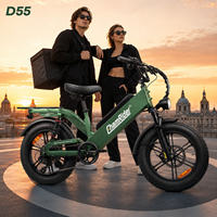 240KM Reichweite 48V 55Ah Monster-Akku E-Bike 45 Grad Steigfähigkeit Wasserdichtes Essenslieferungs-Lastenfahrrad D55 Chamrider