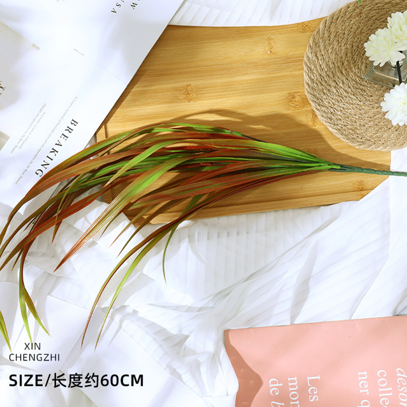 บรอกโคลี (ไล่สีแดง-เขียว)