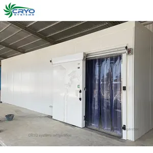 Mongo avocado fruit ripening room banana ripening cold room cold room for fruit
