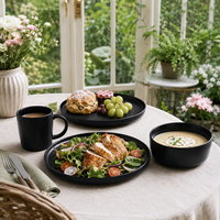 Ensemble de vaisselle moderne classique en céramique mate noire, assiettes, bols, tasses, résistant au lave-vaisselle et au four, pour un usage domestique