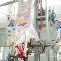Extracteur de peau de machine de décapage de bétail d'usine directement avec des machines de processus de viande