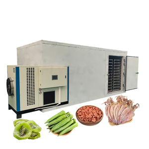 Industrial Automatic Fruit <b>Vegetable</b> Dryer Meat Seafood Drying Machine Heat Pump Drying Room - Product Image 1