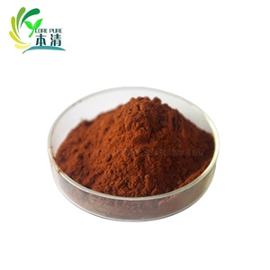 Großes Angebot Hochwertiges natürliches Mangostan-Extrakt pulver 30% Polyphenole Kräuter extrakt Lösungsmittel Trommel verpackung - Product Image 3