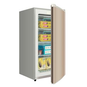 Vente en gros Congélateur vertical électrique 150L Haute qualité Chine BD-150U Capacité 150L Réfrigérateur à porte unique bon marché - Product Image 3