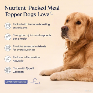 Tùy chỉnh xương nước dùng bột vật nuôi bổ sung chăm sóc sức khỏe chó điều trị thức ăn cho mèo sức khỏe chung thúc đẩy phát triển chứng nhận - Product Image 2