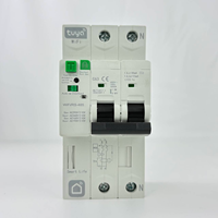 Interrupteur intelligent TUYA 32/63/80/100A avec communication WIFI/RS-485, compteur d'énergie, surveillance de la consommation Kwh, disjoncteur MCB 6kA 240V/400V