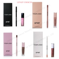 Nouveauté - Rouge à lèvres liquide mat à label privé et crayon à lèvres hautement pigmenté - Kit lèvres assorti gratuit