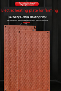 Tablero de calentamiento antiagua eléctrico duradero para lechones, cerdo destete, placa de plástico, alfombrilla para el suelo, equipo de guardería para cerdos - Product Image 3