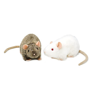 7014 <span class=keywords><strong>souris</strong></span> <span class=keywords><strong>Animal</strong></span> réaliste 7 pouces jouet doux en peluche inoffensif tissu en peluche simulé mignon Rat jouet usine directement en peluche <span class=keywords><strong>souris</strong></span> - Product Image 4