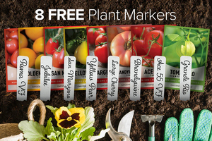 Offerta Speciale: Assortimento di 8 Varietà di Pomodori per Giardino, Casa, Conserve, Cucina e Consumo Fresco - Product Image 3