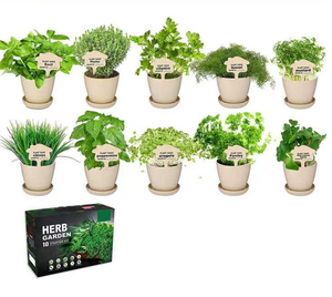 Kit de jardinage d'herbes aromatiques d'intérieur - Kit économique de démarrage <span class=keywords><strong>pour</strong></span> plantes aromatiques DIY, idées cadeaux <span class=keywords><strong>pour</strong></span> femmes, mamans, amies - Product Image 2
