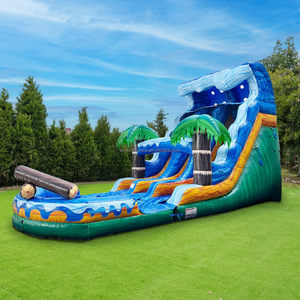 Castillo Inflable Comercial, Tobogán Acuático Inflable para Adultos Gigantes y Niños <span class=keywords><strong>con</strong></span> Tobogán, Tamaño Personalizado, Material <span class=keywords><strong>de</strong></span> PVC - Product Image 1