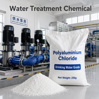 Chlorure de polyaluminium de haute pureté, poudre blanche PAC 30% pour les stations de traitement des eaux