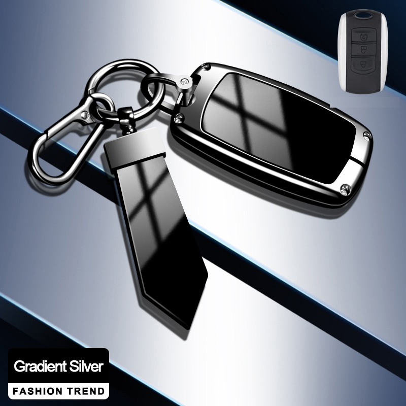 สีเงินไล่ระดับ D