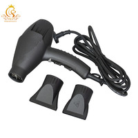 Sèche-cheveux portable pour animaux de compagnie EUR PET à ions négatifs, pour la maison et le salon, toilettage des chiens et des chats
