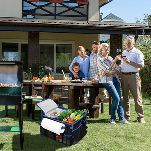 Carrito de parrilla grande con bolsa de refrigeración, bolsa de accesorios para barbacoa, cesta de Picnic con toallero de papel y bolsillo para condimentos - Product Image 4