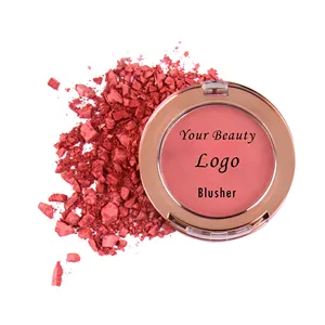 Blush palette Shimmer makeup palette cosméticos vegan Private label