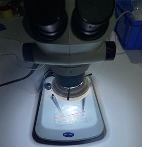 SCITEK High-quality Optical System 7-45x Digital LED Zoom Trinocular Stereoscopic <strong>Microscope</strong> 3-Year Warranty for - Product Image 4