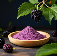 Poudre de fruits de mûrier, extrait de fruits de mûrier en poudre, fourni par l'usine