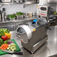 Multifunctionele machine voor het snijden, raspen en in blokjes snijden van fruit en bladgroenten voor groenteverwerkingsbedrijven, hoge capaciteit