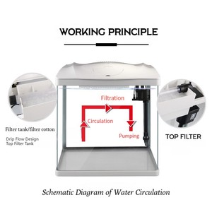 Ciotola per pesci in vetro per acquario piccolo in vetro personalizzato all'ingrosso per Bar Home Office - Product Image 2
