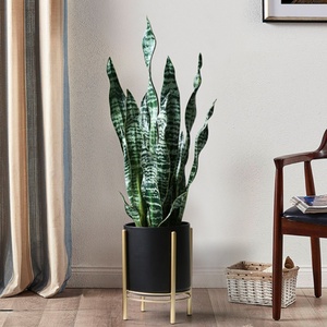 <span class=keywords><strong>Planta</strong></span> de serpiente de imitación Premium, Sansevieria artificial para decoración interior del hogar Suministro a granel - Product Image 5