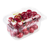 Transparante wegwerp 250 gram PET plastic fruitbakje kersen bosbessen blister clamshell verpakking met gaten