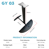 Système complet en carbone GY03 populaire pour hydrofoil, aile de sport nautique, pompe de surf, portable, étanche, contrôle agile, freeride
