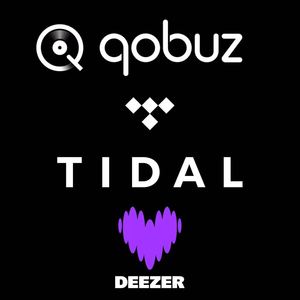 Deezer 1 año Deezer Deezer Premium Music 12 meses - Product Image 2