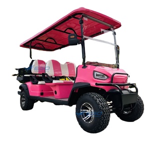 Carritos de Golf Eléctricos Tipo Buggy Color Rosa Princesa, Legales para Circular en la Calle, de 6 Plazas, para Turismo, en Venta - Product Image 1