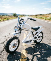 La Bicicleta Eléctrica Retro Harley 5 Urban Leisure de Litio. Con su Encanto Clásico y Excelente Rendimiento, es Realmente Imprescindible