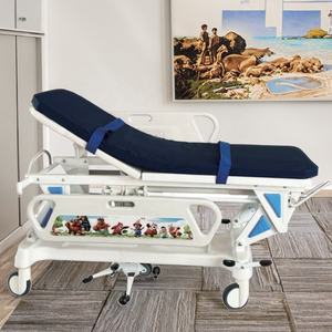 Регулируемая детская больничная кровать для транспортировки с инфузионной поддержкой, металлическая конструкция, современный дизайн, складная, с направляющими для пятого колеса - Product Image 1