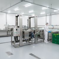 KAYA Automatische Blauwe Bes Mango Appel Bubbelreinigingsmachine voor Dragon Fruit en Sla met Motor, 500kg Capaciteit