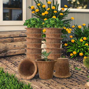 Fourniture directe d'usine plante verte bonsaï fournitures <span class=keywords><strong>de</strong></span> jardinage cocotier semis tasses <span class=keywords><strong>fibre</strong></span> <span class=keywords><strong>de</strong></span> plante pour les semis - Product Image 6