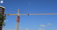Nouvelle Mini Grue à Tour de Construction 3T, Moteur, Boîte de Vitesses, Roulement, Moteur Électrique Mobile à Grimpement Interne QTZ31.5
