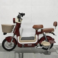 Vélo électrique à 2 roues, style Kiwo, moteur arrière sans balais, SK8, batterie au plomb-acide 48V, vélo électrique numérique