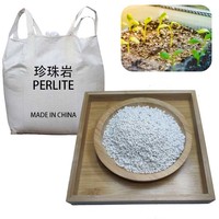 Mélange d'amendement de sol en perlite expansée 3-6 mm pour l'amélioration du drainage des substrats de tourbe et de coco