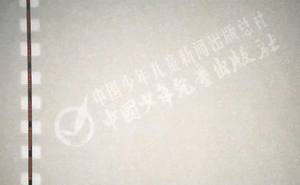 ورق أمني تشاوفا 75% قطن 25% كتان مطبوع بأوفست بخيط مخصص بعلامة مائية للشهادات والفواتير - Product Image 5