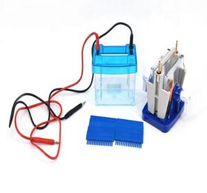 SDS-PAGE देशी पृष्ठ स्थानांतरण इलेक्ट्रोफोरेसिस सेल मॉडल DYCZ-40G - Product Image 6