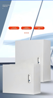 Boîtier et armoire de distribution d'énergie en acier inoxydable sur mesure pour fabricants, avec disjoncteurs MCB et MCCB pour usage extérieur, indice de protection IP65/IP66