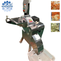 SHENGHE Geautomatiseerde Mango Reinigings- en Snijmachine Fruit- en Groentewaslijn Vriesproductielijn 3000KG Capaciteit 1 Jaar Garantie
